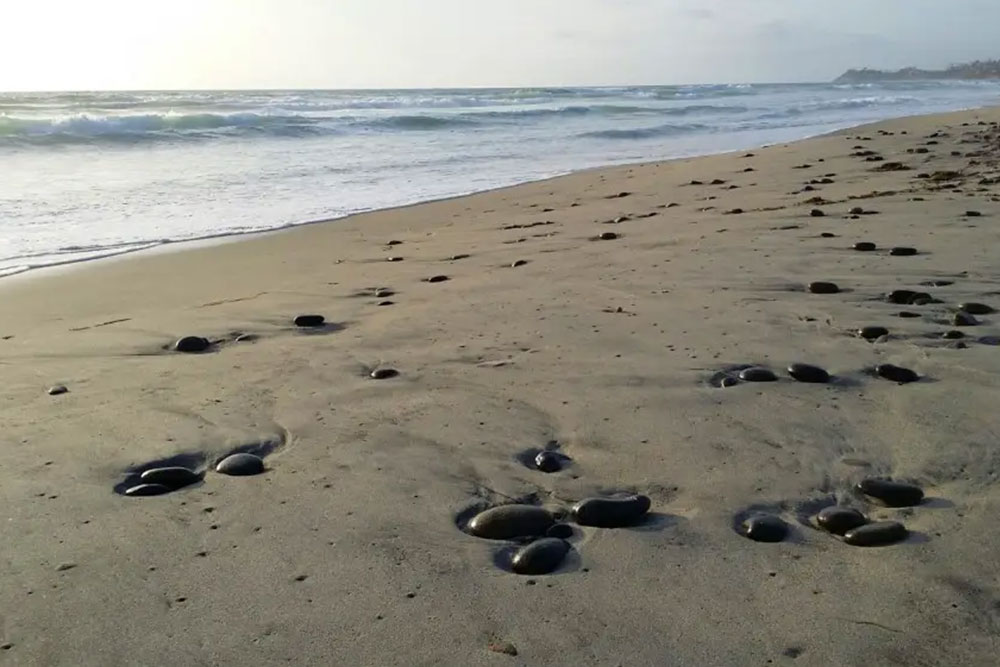 This image displays photo of the CARDIFF STATE BEACH